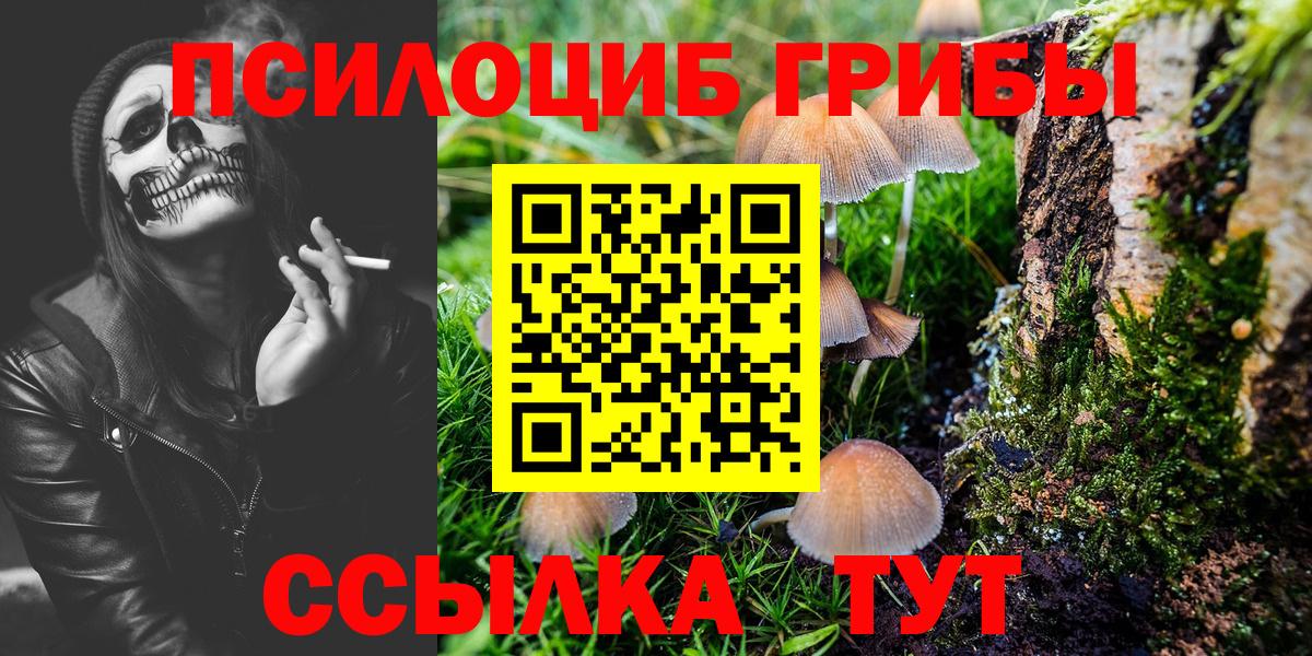 Белгород  Галлюциногенные грибы MAGIC MUSHROOMS  Галлюциногенные грибы Psilocybine cubensis  даркнет сайт  Вход с VPN 